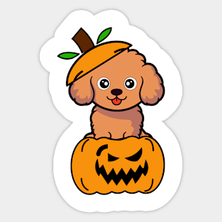 Cute Brown Dog is in a pumpkin Sticker